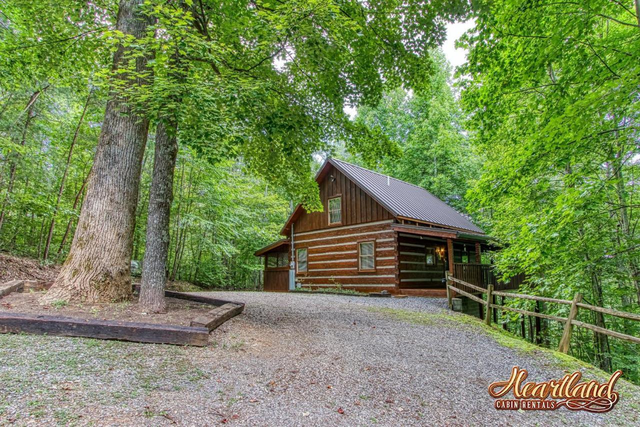 Cozy Mountain Hideaway *